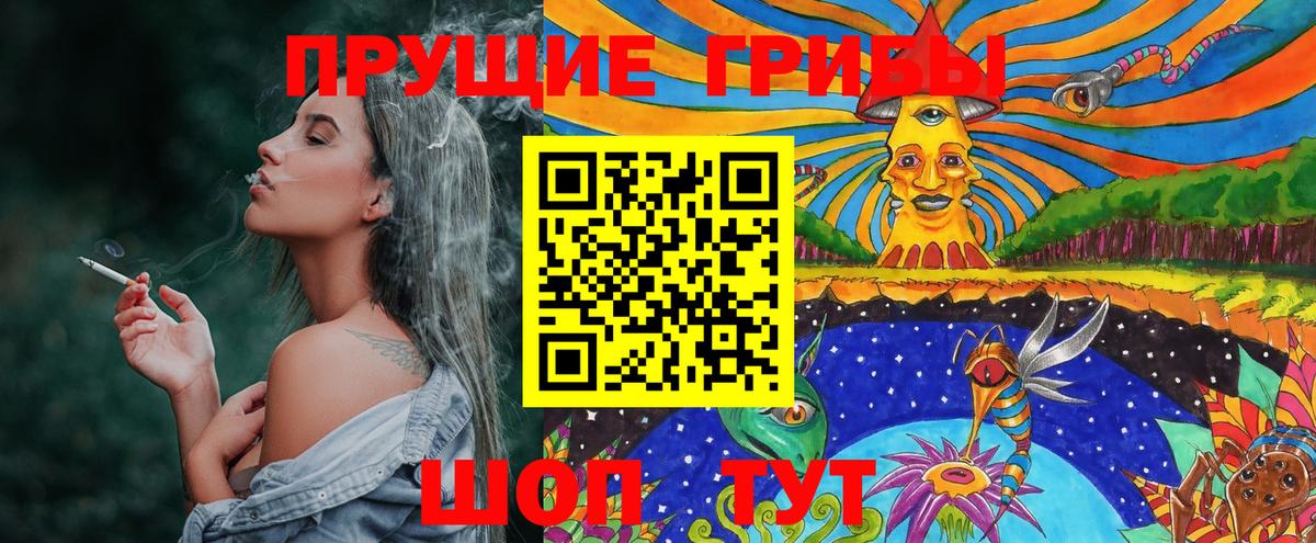 Оренбург  Галлюциногенные грибы Cubensis  Вход с VPN 