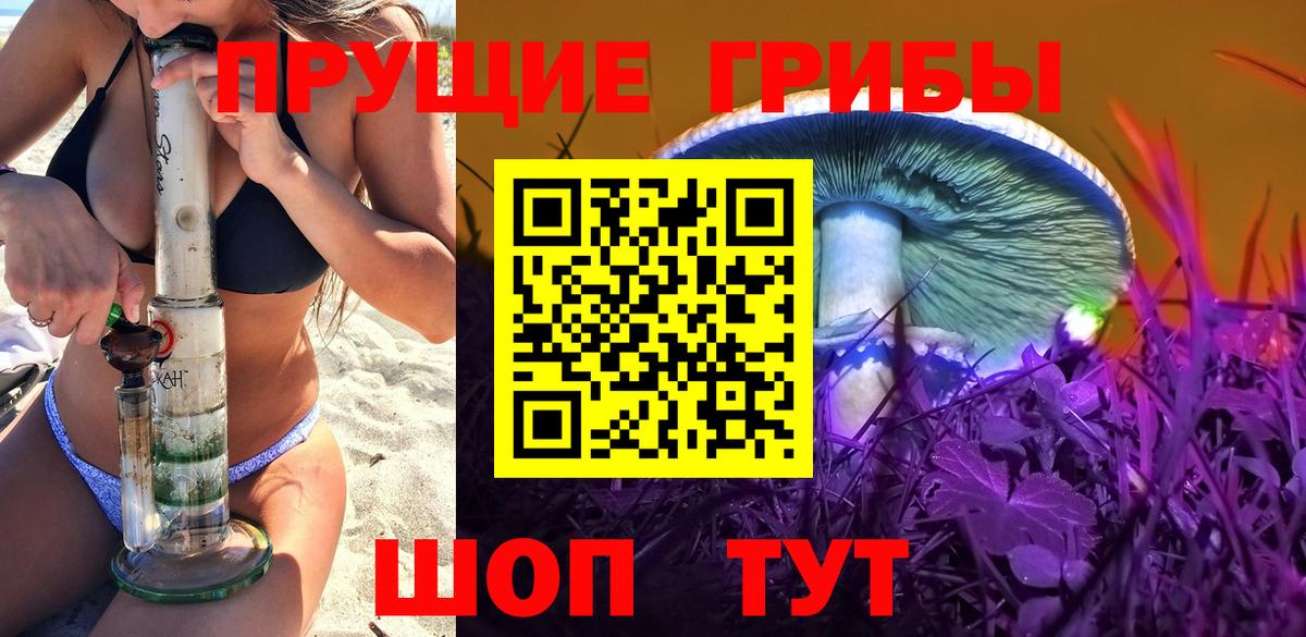 Галлюциногенные грибы Cubensis Оренбург
